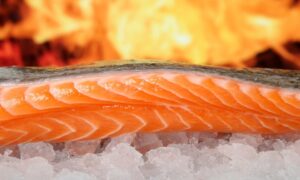 Salmone: caratteristiche, valori nutrizionali e ricette